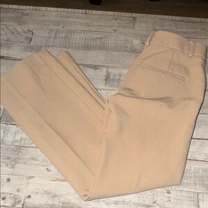 Ann Taylor Men's Khaki Chinos